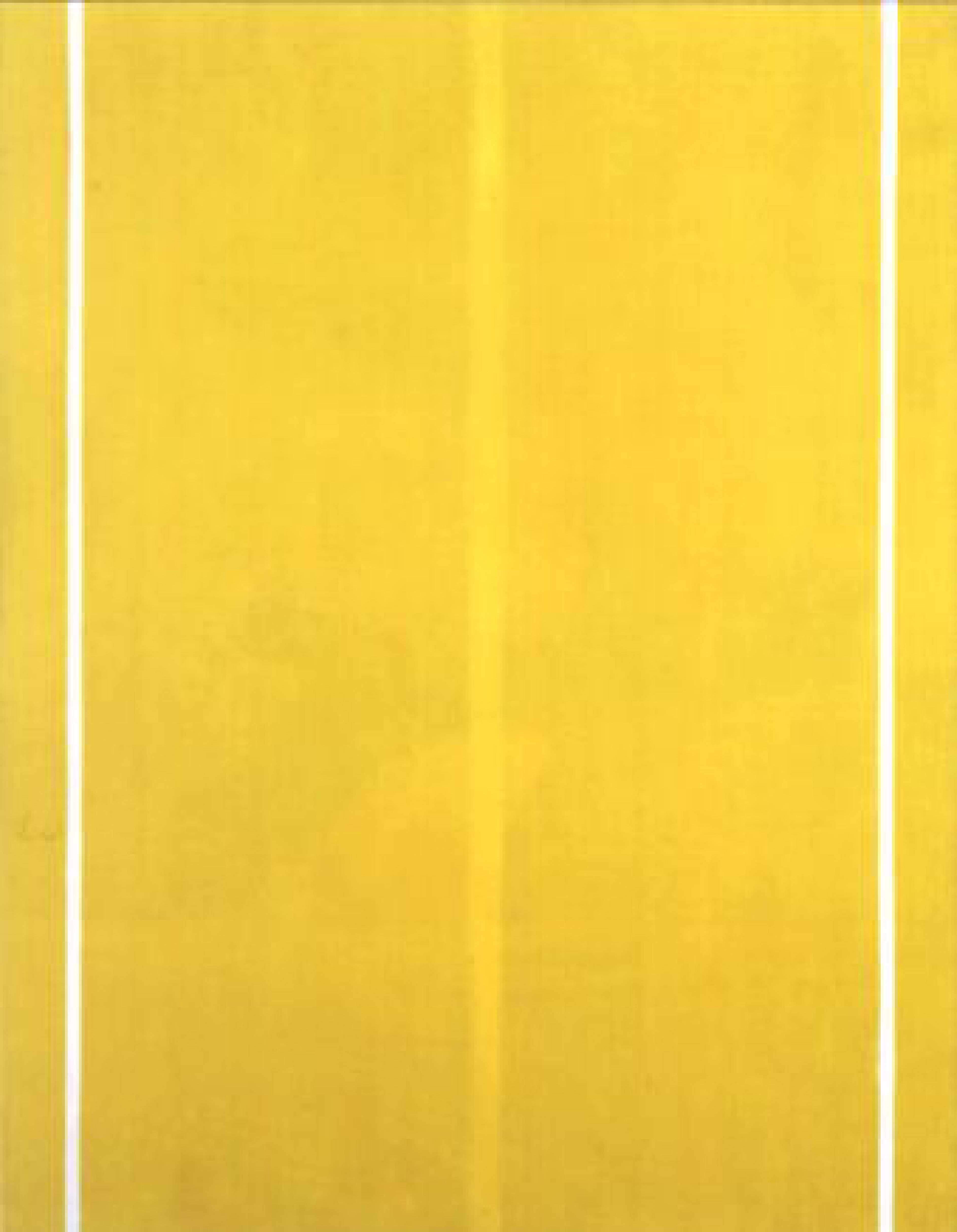 Yellow Painting, 1949, oil on canvas, 67 1/2 x 52 3/8 inches (171.4 x 133.1 cm) .737Ko/52,2Mo 